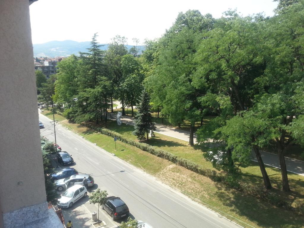 Park Srce Apartments Аранделовац Номер фото