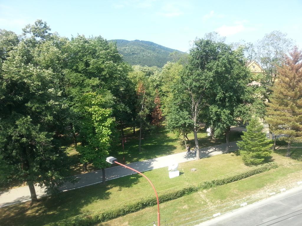Park Srce Apartments Аранделовац Номер фото